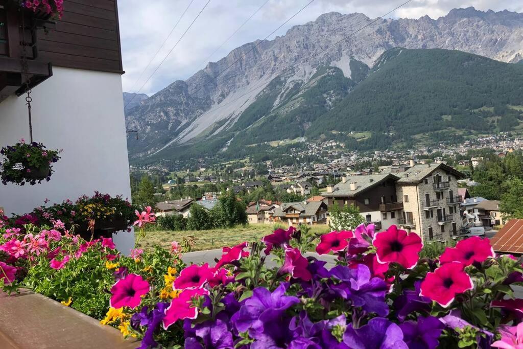 Appartamento A Due Passi Da Bormio วัลดิซอตโต ภายนอก รูปภาพ