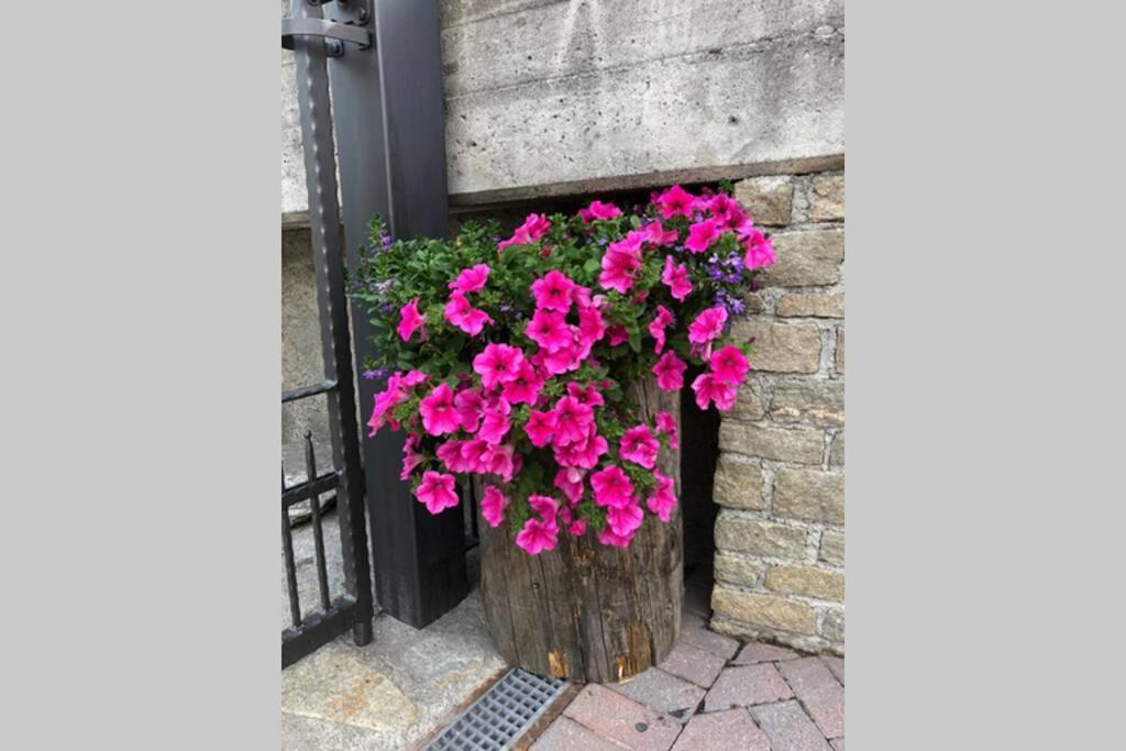 Appartamento A Due Passi Da Bormio วัลดิซอตโต ภายนอก รูปภาพ